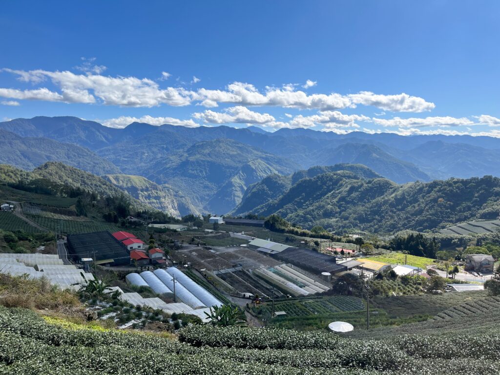 星月傳說露營地|360度環繞阿里山絕美山景,在星空下吃火鍋及鹽烤魚,必收露營景點 星月傳說真的是一個很棒的營地