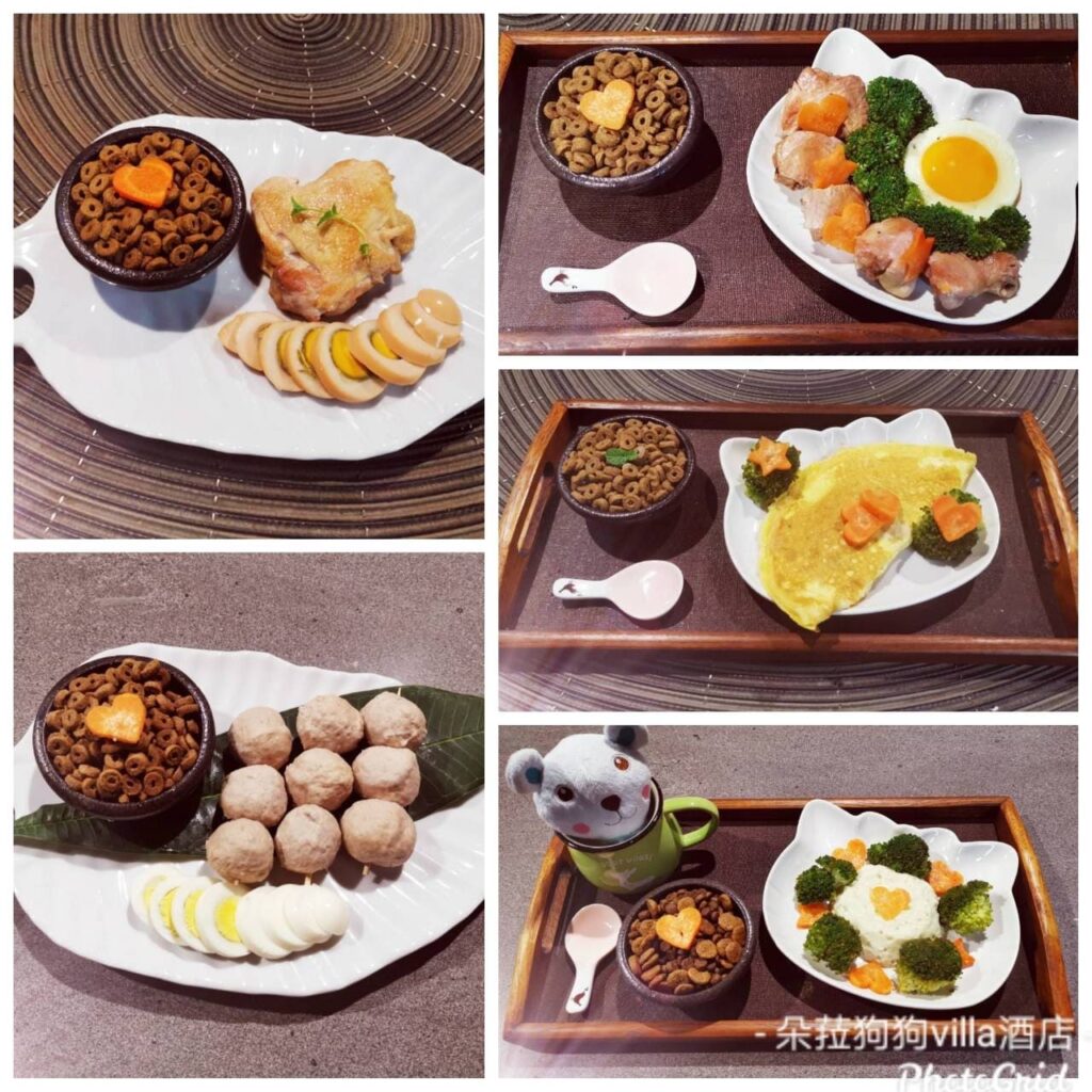 出去旅遊沒辦法照顧寵物怎麼辦?朵菈狗狗Villa酒店,讓毛孩享受貴族般的假期! 朵菈狗狗villa酒店