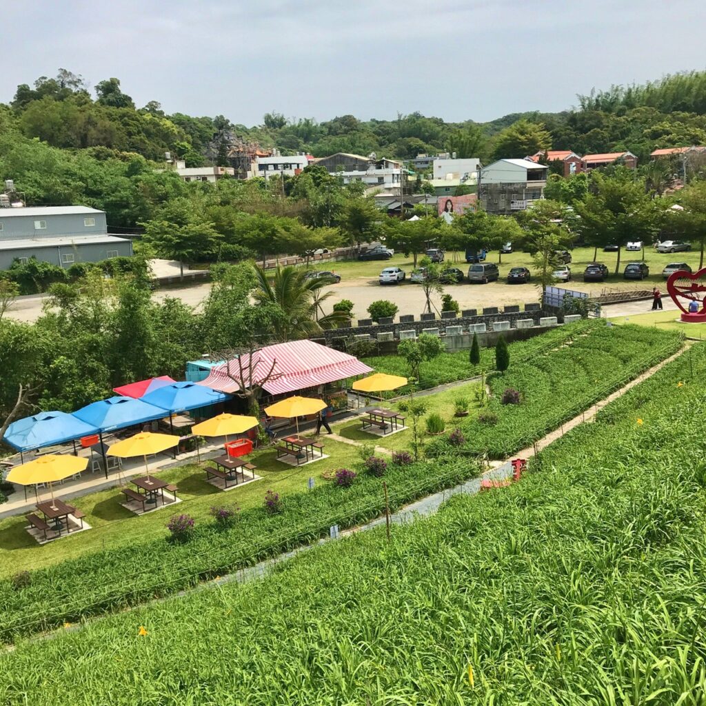 彰化虎山巖金針花季(4/16~5/31),中部人不必舟車勞頓到六十石山,也能欣賞美麗的金黃世界! 彰化虎山巖金針花季