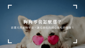 狗狗零食怎麼選？首選天然寵物零食，讓毛孩吃的開心也吃的健康！