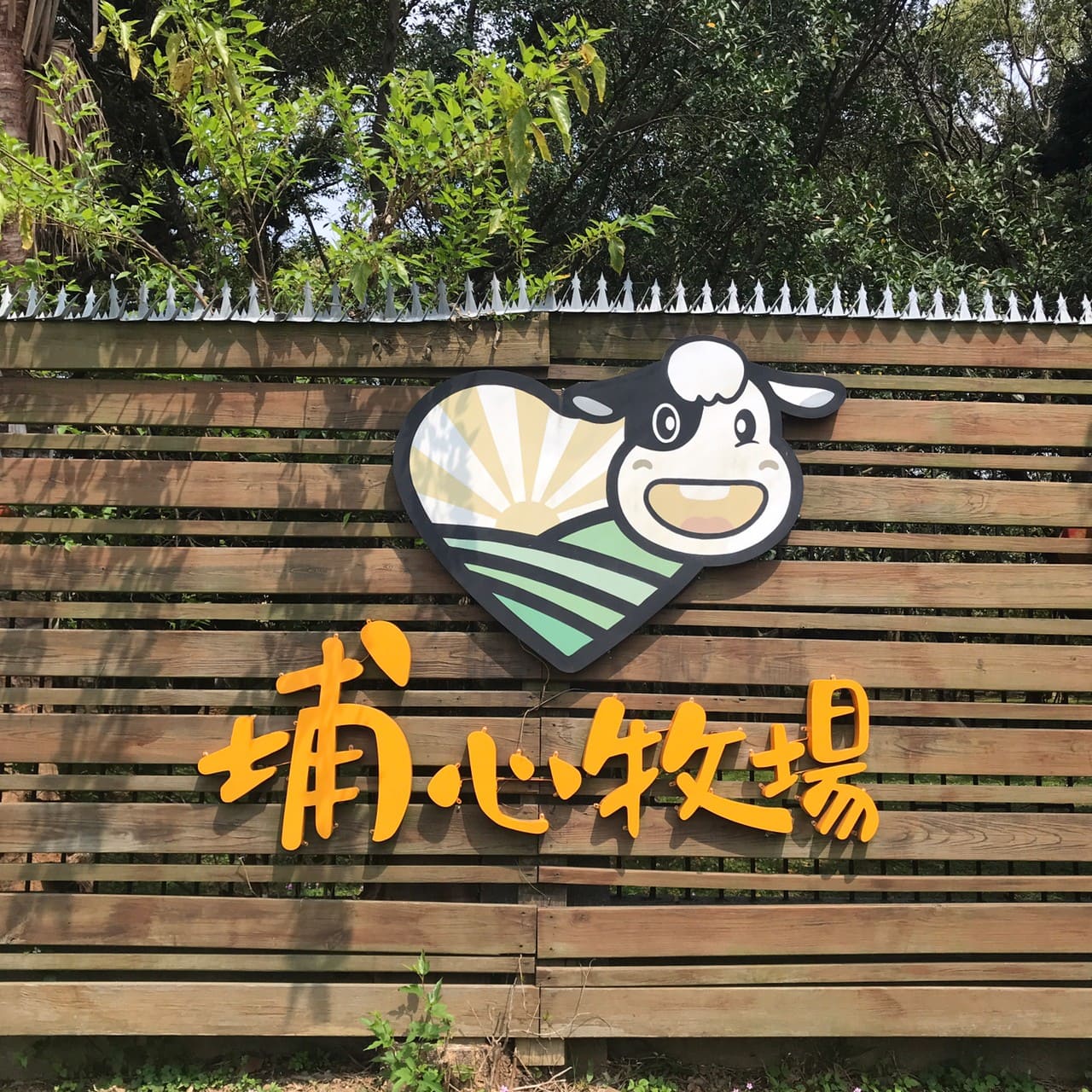 桃園一日遊|中壢市區親子古蹟景點/草泥馬、梅花鹿、水豚君一次擁有/巷弄內超人氣海鮮丼! 埔心牧場