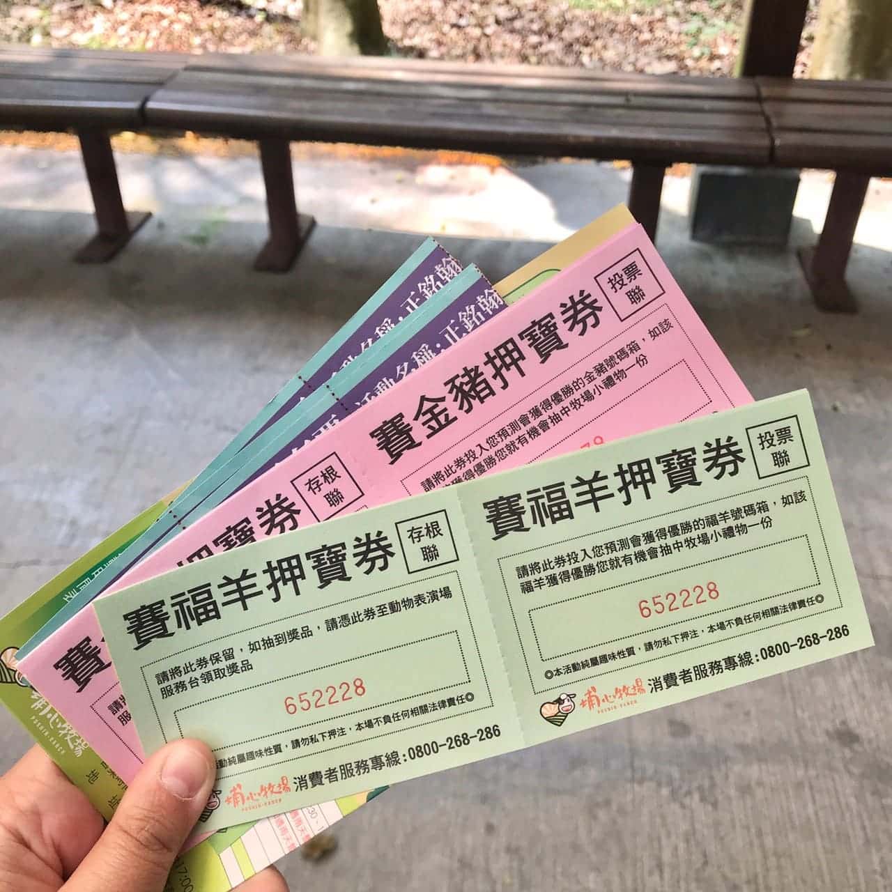桃園一日遊|中壢市區親子古蹟景點/草泥馬、梅花鹿、水豚君一次擁有/巷弄內超人氣海鮮丼! 埔心牧場