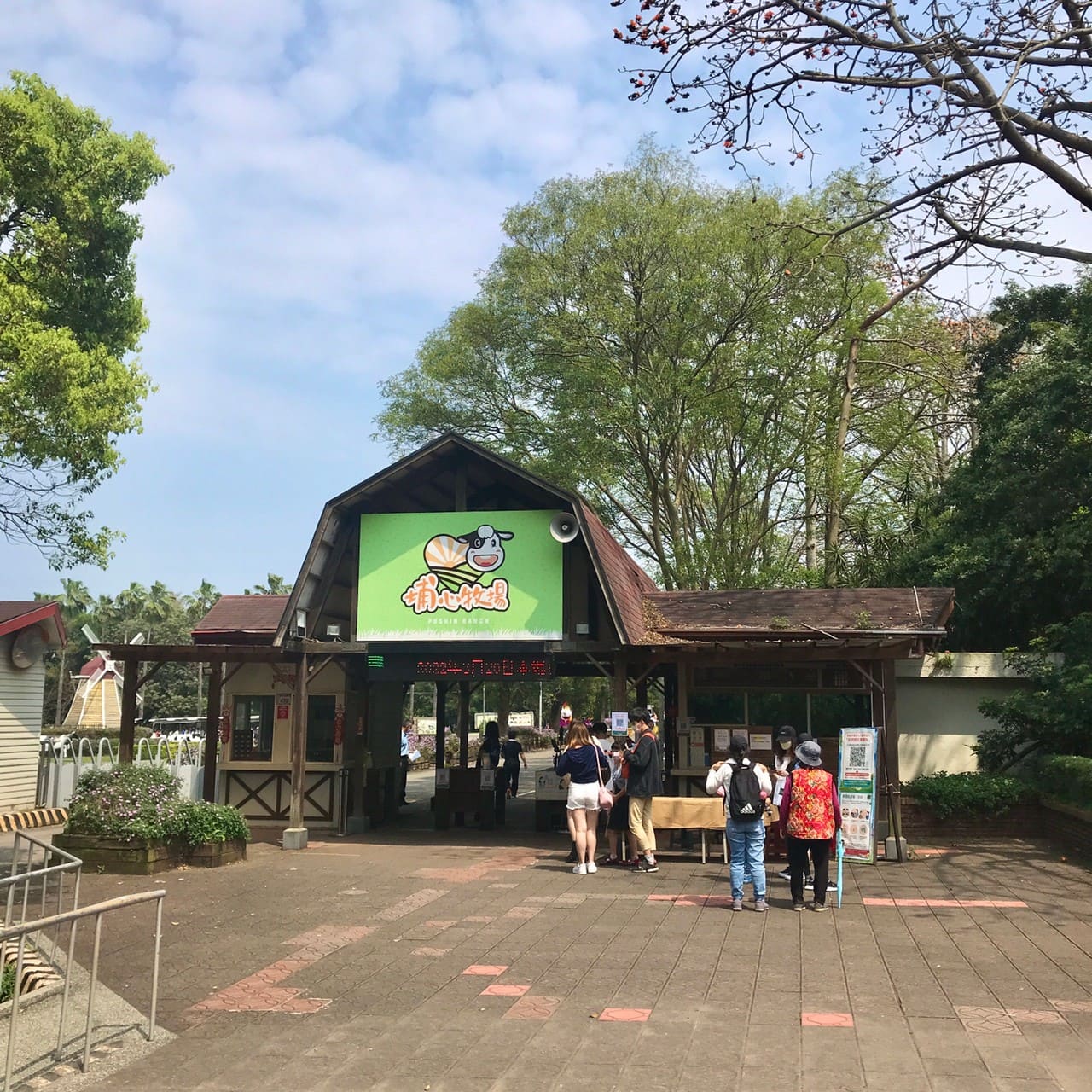 桃園一日遊|中壢市區親子古蹟景點/草泥馬、梅花鹿、水豚君一次擁有/巷弄內超人氣海鮮丼! 埔心牧場