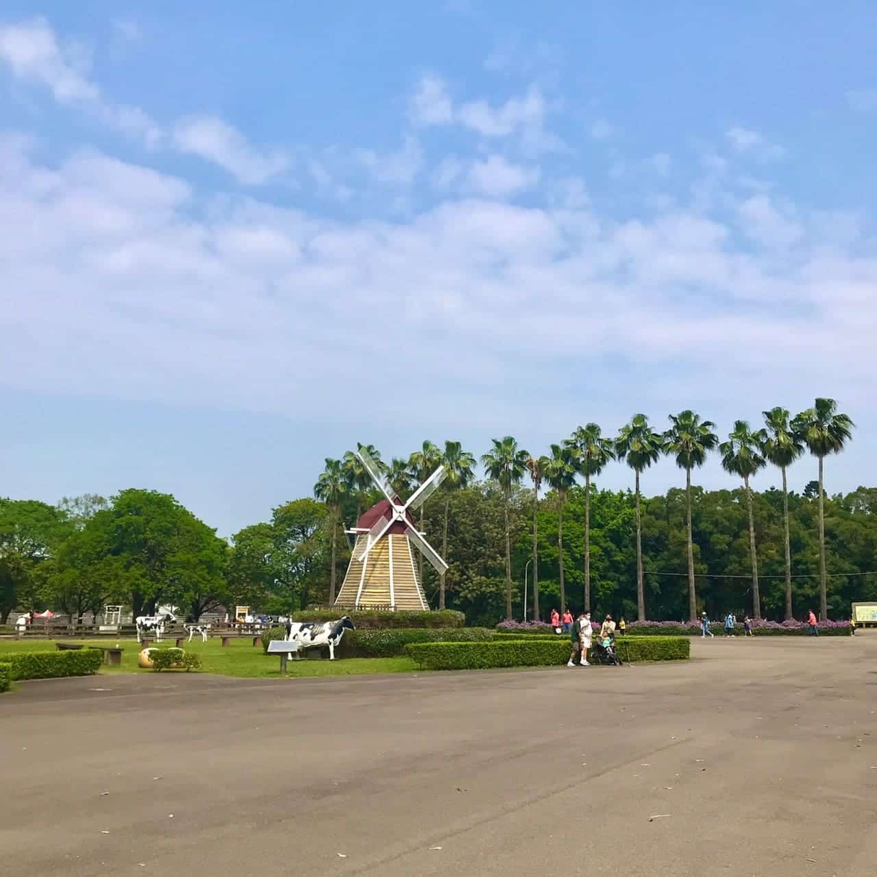 桃園一日遊|中壢市區親子古蹟景點/草泥馬、梅花鹿、水豚君一次擁有/巷弄內超人氣海鮮丼! 埔心牧場