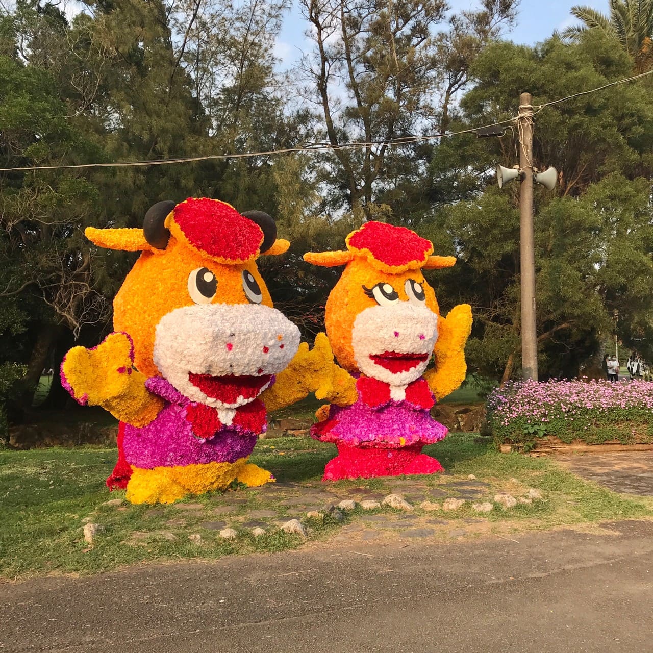 桃園一日遊|中壢市區親子古蹟景點/草泥馬、梅花鹿、水豚君一次擁有/巷弄內超人氣海鮮丼! 埔心牧場