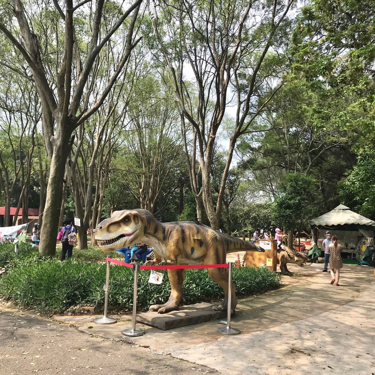 桃園一日遊|中壢市區親子古蹟景點/草泥馬、梅花鹿、水豚君一次擁有/巷弄內超人氣海鮮丼! 叮咚News|分享新奇與樂趣