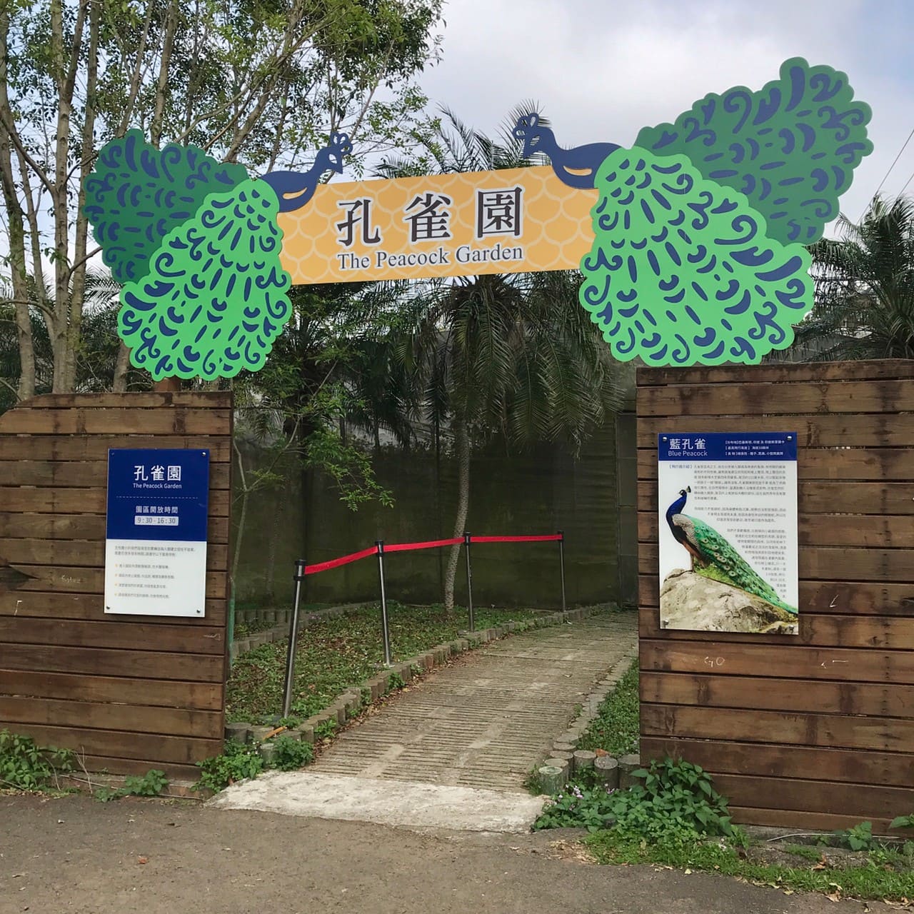 桃園一日遊|中壢市區親子古蹟景點/草泥馬、梅花鹿、水豚君一次擁有/巷弄內超人氣海鮮丼! 孔雀園