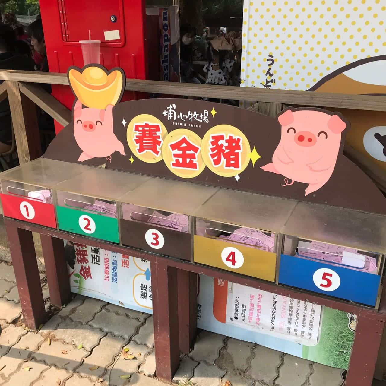 桃園一日遊|中壢市區親子古蹟景點/草泥馬、梅花鹿、水豚君一次擁有/巷弄內超人氣海鮮丼! 賽金豬
