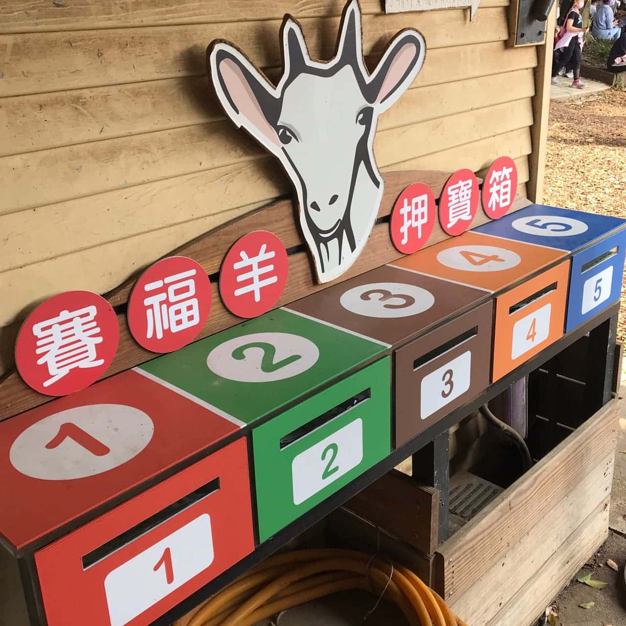桃園一日遊|中壢市區親子古蹟景點/草泥馬、梅花鹿、水豚君一次擁有/巷弄內超人氣海鮮丼! 賽福羊,押寶箱