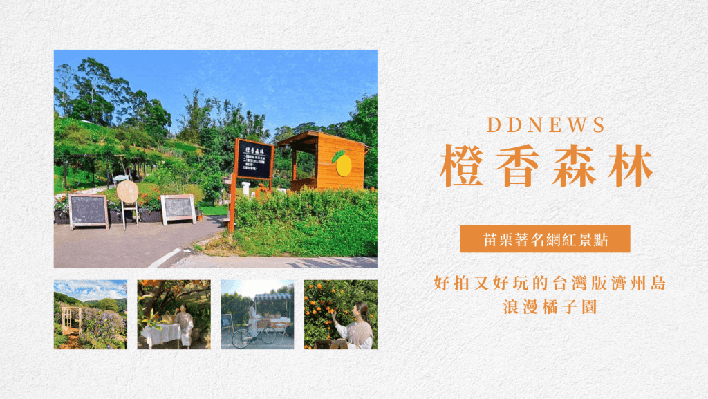橙香森林