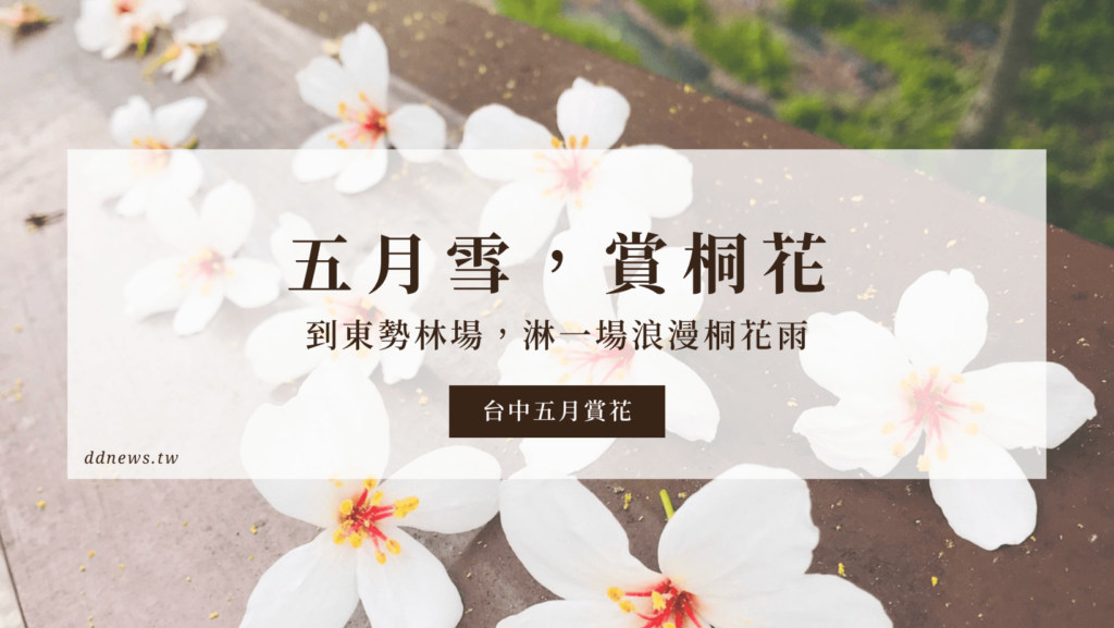 台中桐花公園