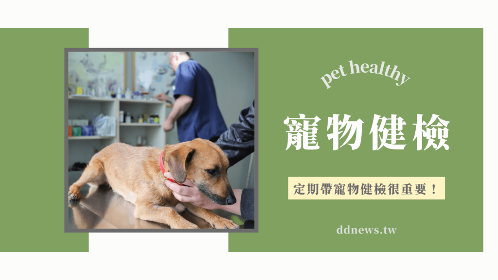 寵物健檢