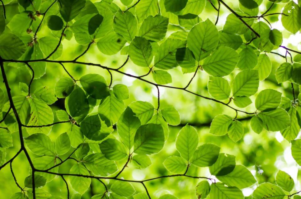 ESG、企業永續是什麼?ESG選股有用嗎? 叮咚News|分享新奇與樂趣