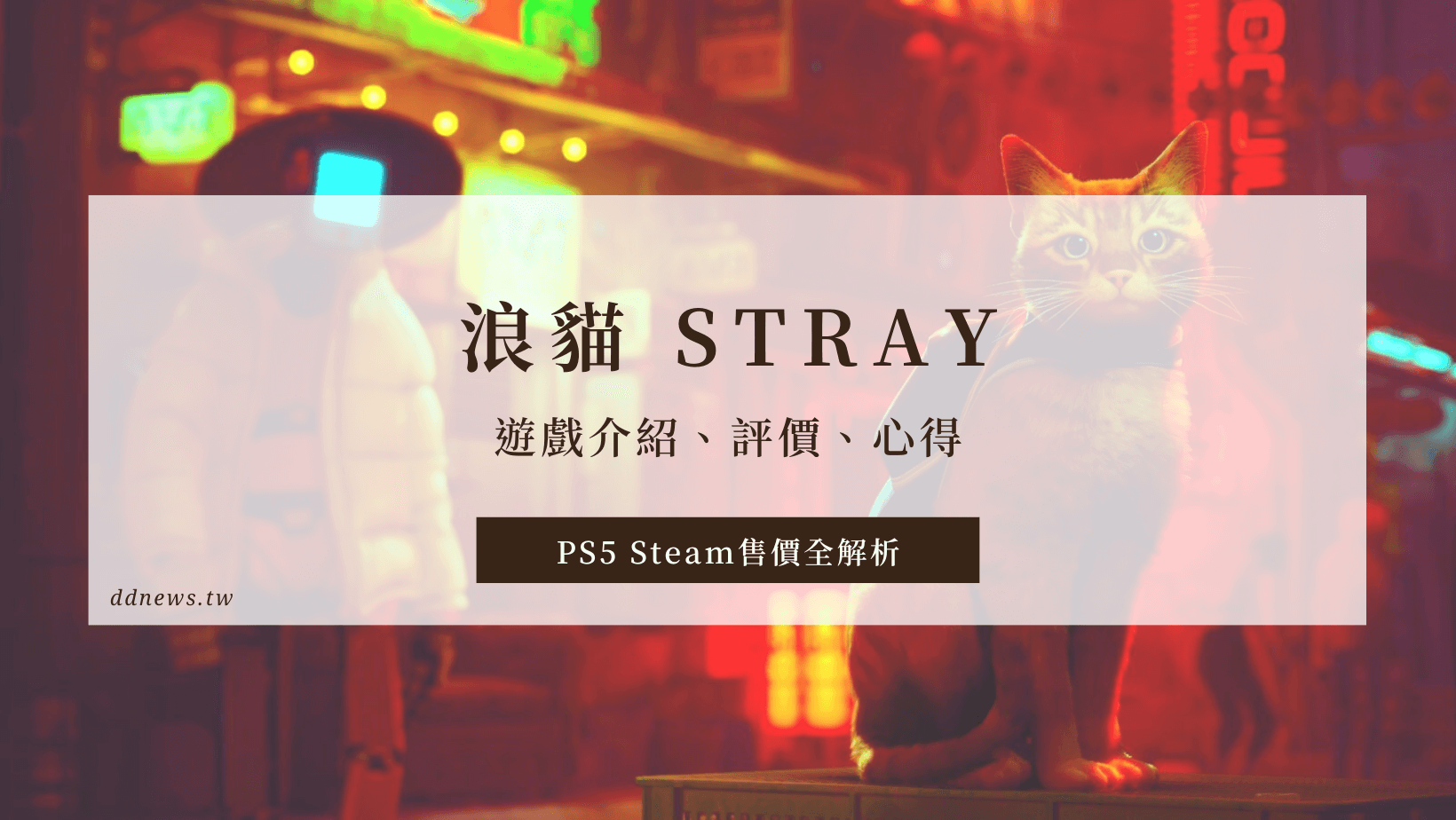浪貓 Stray｜遊戲介紹、評價、心得、PS5 Steam售價全解析