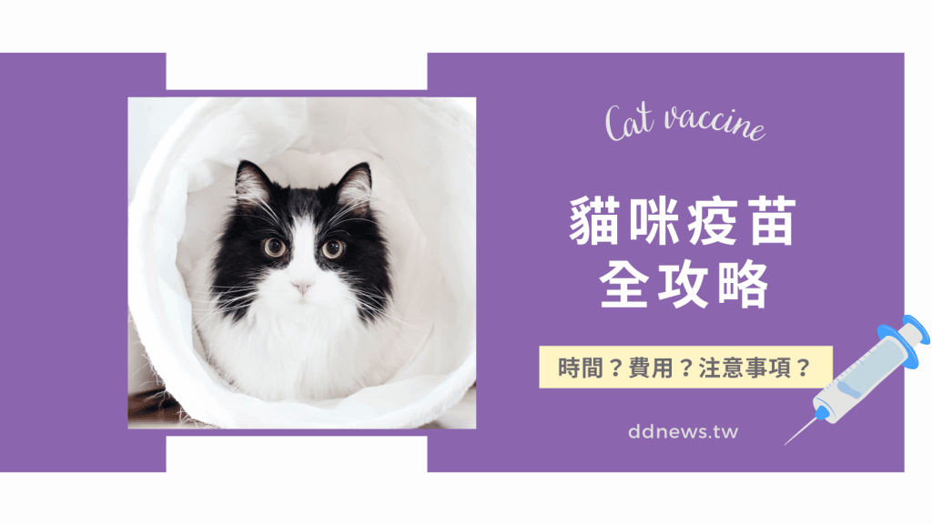 貓咪疫苗完整攻略