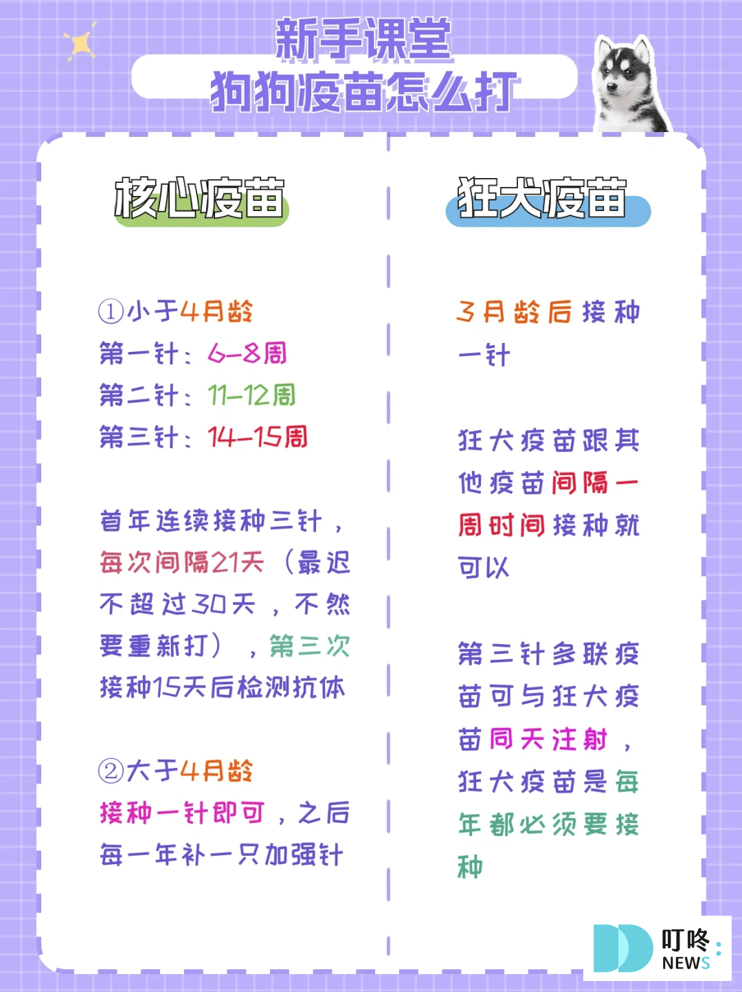 狗狗疫苗接種攻略|狂犬病、萊姆病、十合一疫苗多久打一次?費用怎麼算?成犬疫苗幼犬疫苗 叮咚News|分享新奇與樂趣