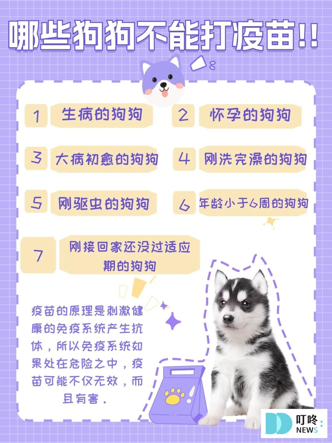 叮咚News｜分享新奇與樂趣