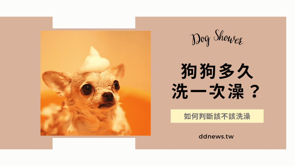 狗狗多久洗一次澡