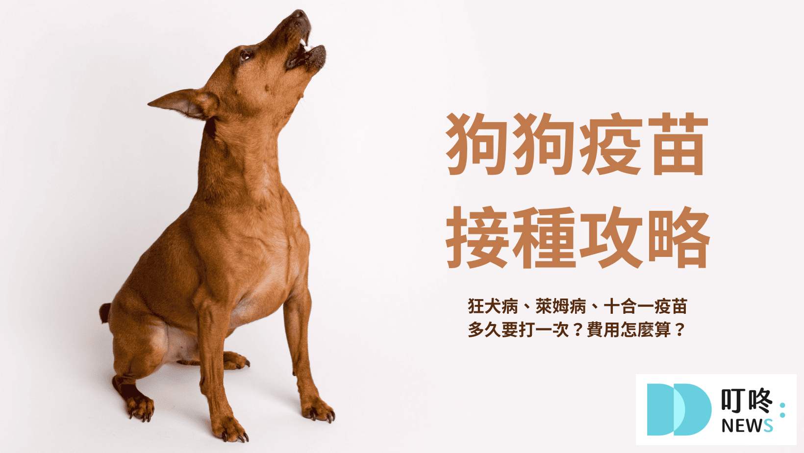 狗狗疫苗
