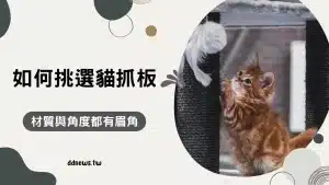 為什麼貓咪喜歡貓抓板