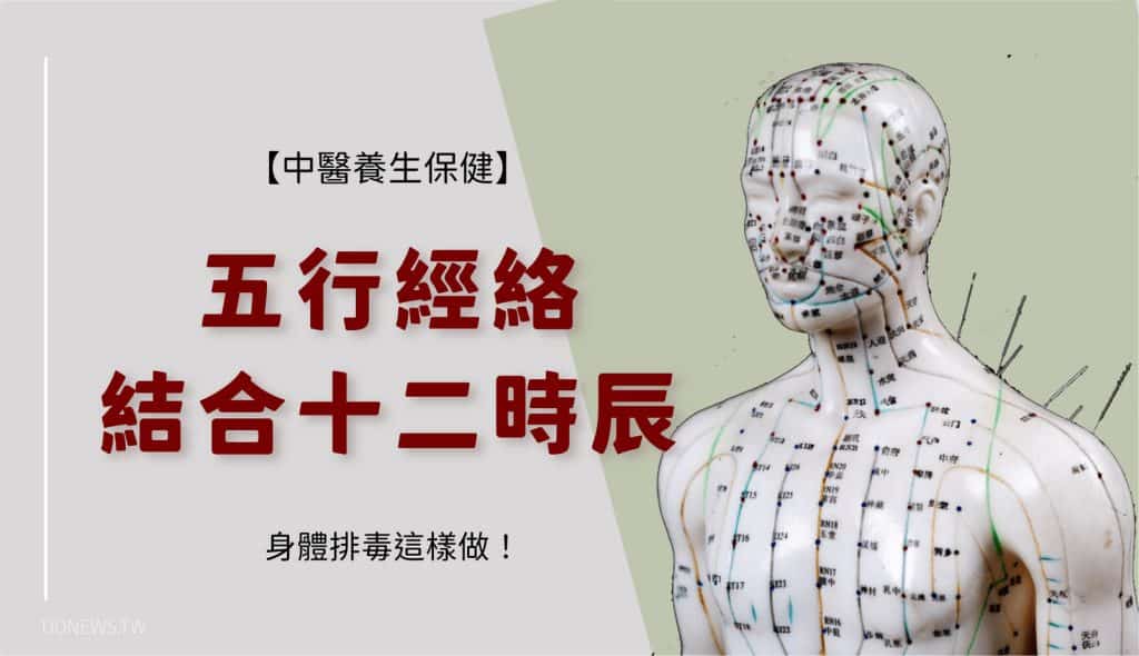 五行經絡結合十二時辰