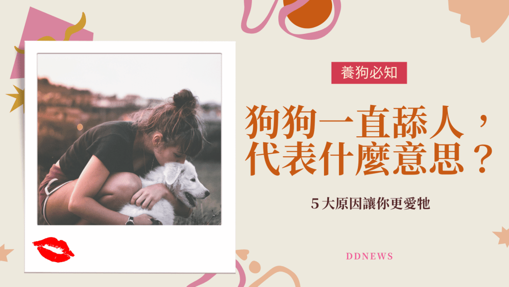 狗狗舔人原因