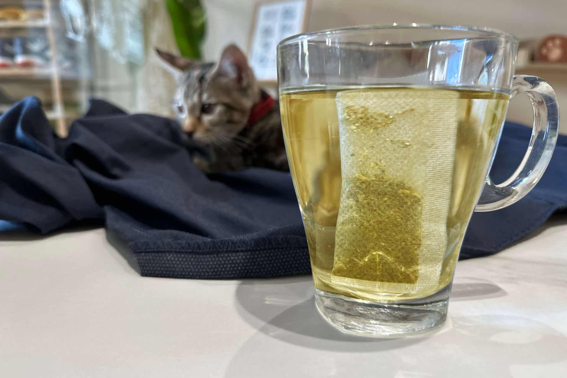 【開箱分享】七三茶堂 原葉研磨條形茶包|顛覆傳統新風味,研磨冷泡茶香更濃 9 【開箱分享】七三茶堂 原葉研磨條形茶包|顛覆傳統新風味,研磨冷泡茶香更濃