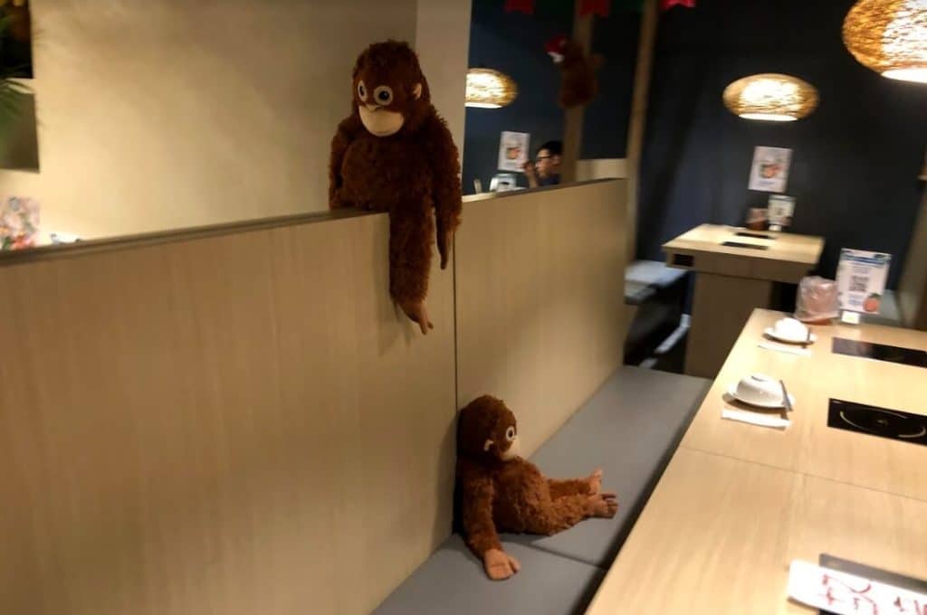 叮咚News｜分享新奇與樂趣 - 圖5 店裡的猴子
