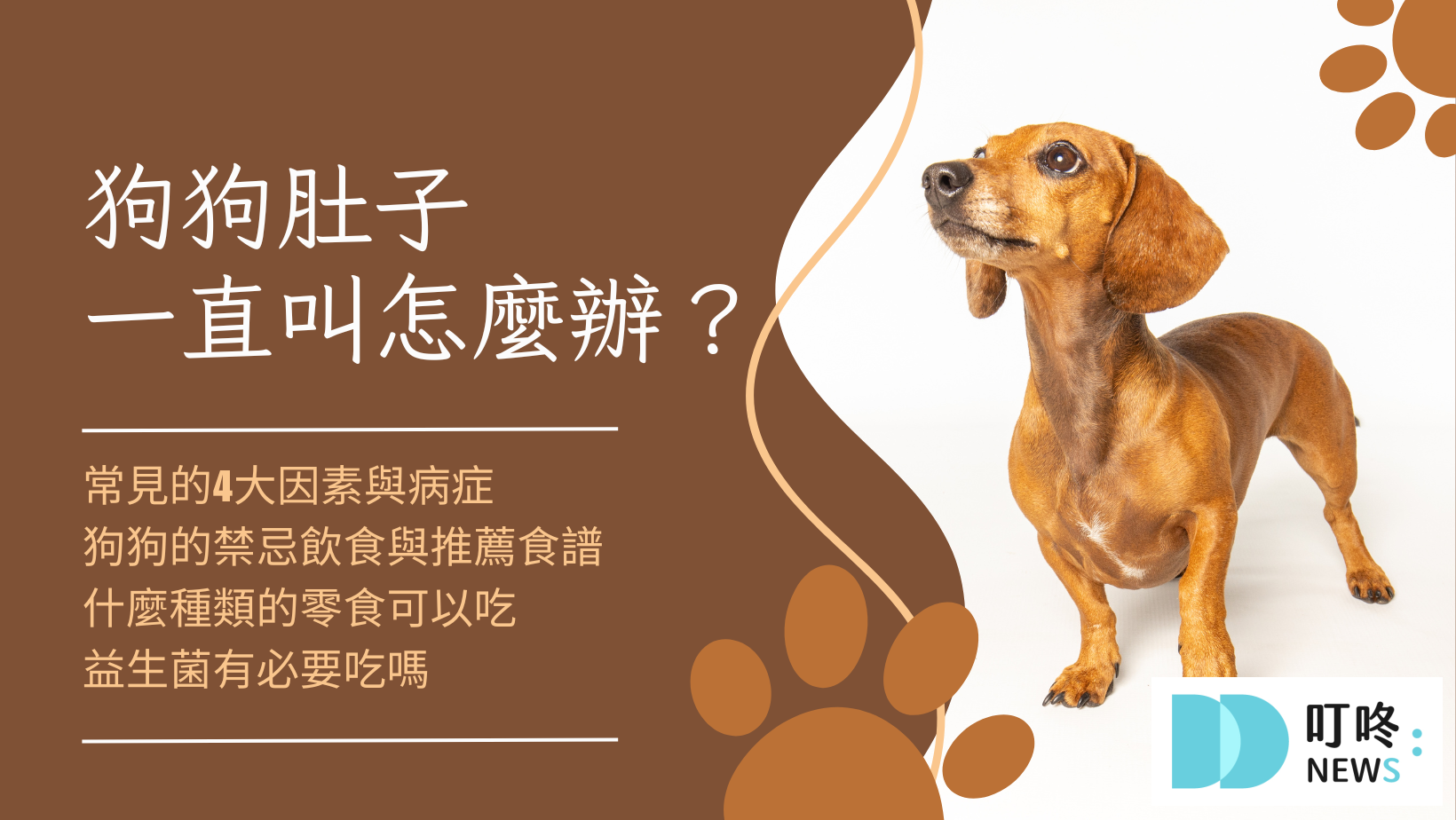狗狗肚子一直叫怎麼辦？
