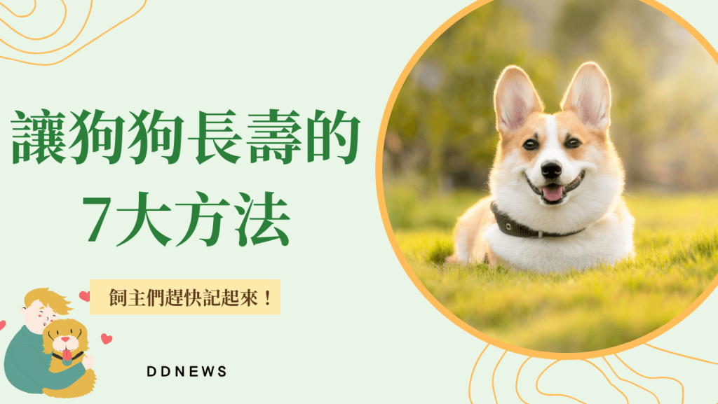 讓狗狗長壽方法