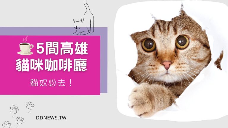 高雄貓咖