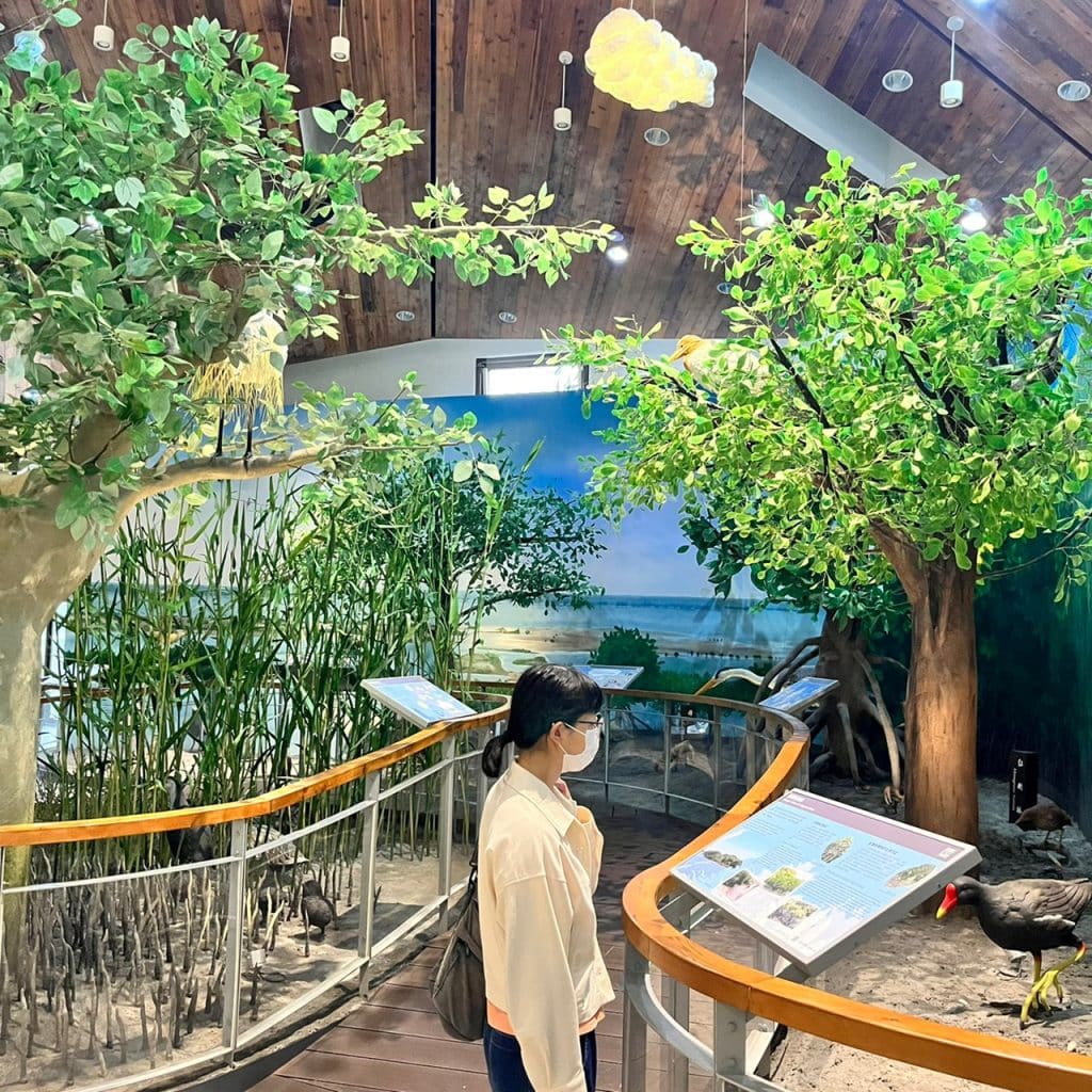 叮咚News｜分享新奇與樂趣 - 圖２４－台江國家公園遊客中心內部