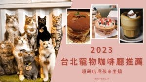 2023台北寵物咖啡廳推薦