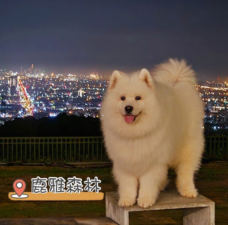 台中景點推薦!2025 台中一日遊去哪玩? 叮咚News|分享新奇與樂趣