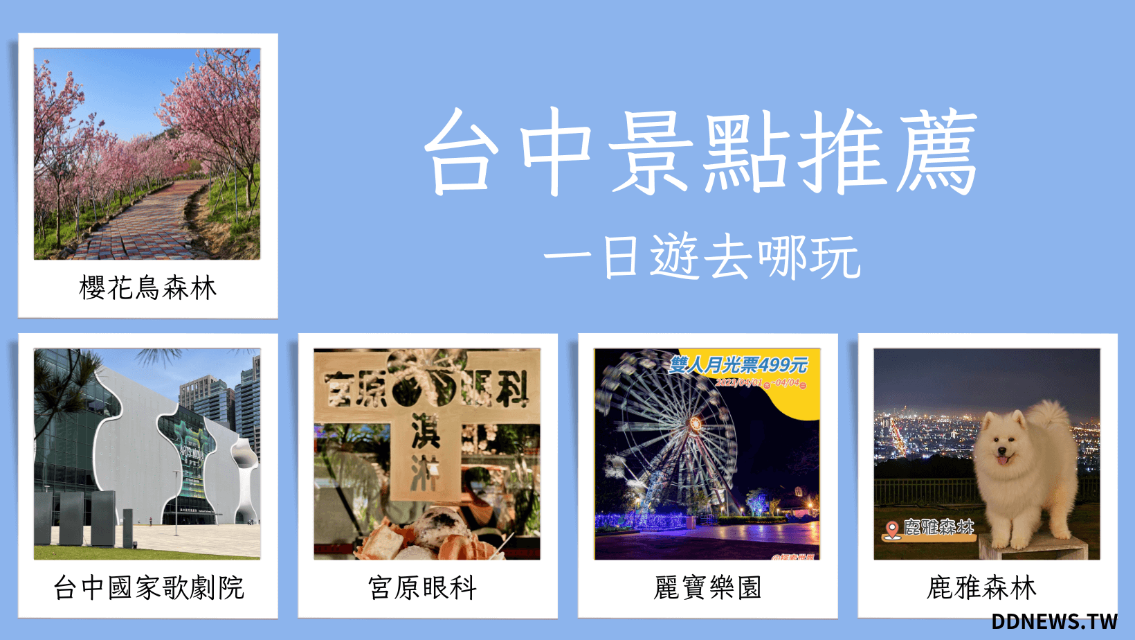 叮咚News｜分享新奇與樂趣