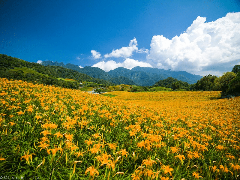 2025 暑假去哪玩?東部熱門旅遊景點報你知! 叮咚News|分享新奇與樂趣