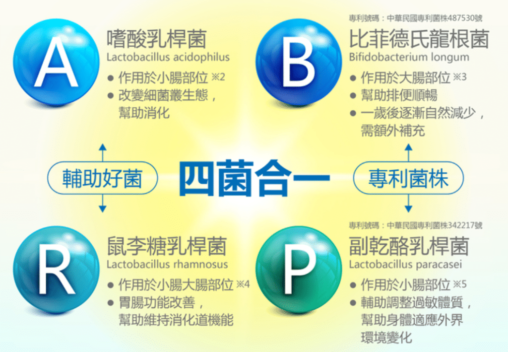 健康力益生菌評價|免疫力與腸胃的救星 叮咚News|分享新奇與樂趣