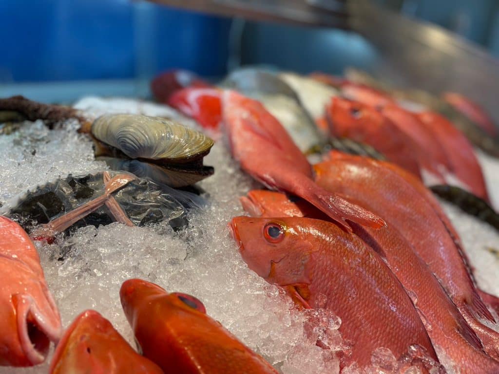 『阿興生魚片』後壁湖美食|百元綜合生魚片、必點奶油辣泡蝦,超豐富海鮮讓你飽到天靈蓋! 新鮮魚貨