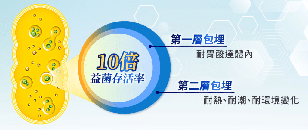 凱綺萃益生菌評價|超實惠的長期調理益生菌 叮咚News|分享新奇與樂趣