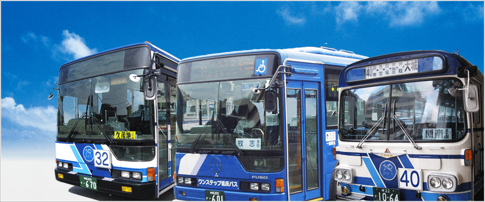 叮咚News｜分享新奇與樂趣 - 圖3 圖片來源，沖繩巴士官方網站
