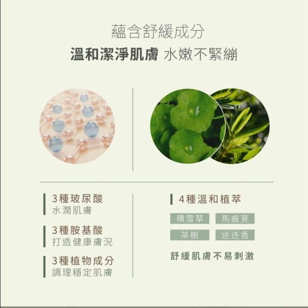 AHC濟州島毛孔淨化火山泥膜100ml：圖片 8