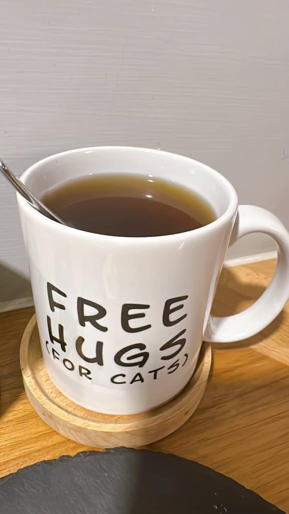 【公館咖啡廳】貓食光 Time With Cats評論、菜單|中途貓咪咖啡廳!享受被貓咪包圍的天堂咖啡廳 叮咚News|分享新奇與樂趣