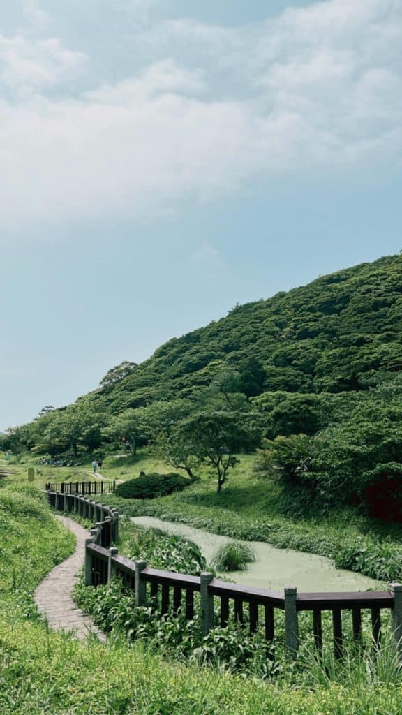 【新北景點】二子坪步道|臺灣首座野外無障礙步道-適合全家出遊的世外桃源 新北景點