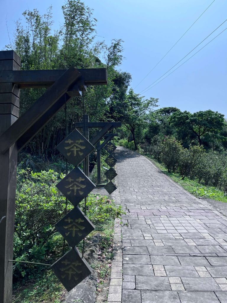 【新北石門景點】茶山步道|空氣也會回甘-沈醉在山海相望的馥郁茶香裡 叮咚News|分享新奇與樂趣
