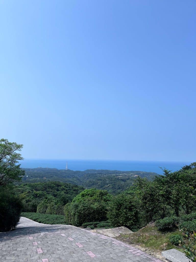 【新北石門景點】茶山步道|空氣也會回甘-沈醉在山海相望的馥郁茶香裡 叮咚News|分享新奇與樂趣