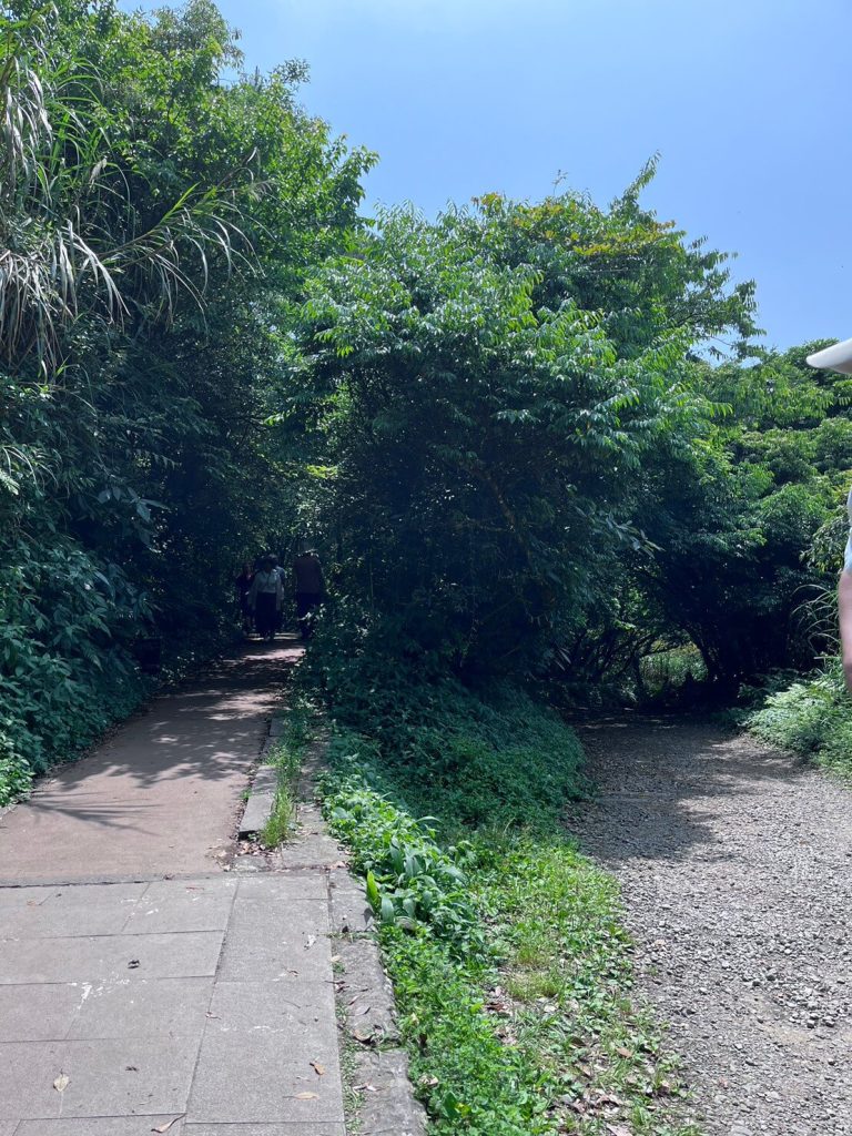 【新北景點】二子坪步道|臺灣首座野外無障礙步道-適合全家出遊的世外桃源 叮咚News|分享新奇與樂趣