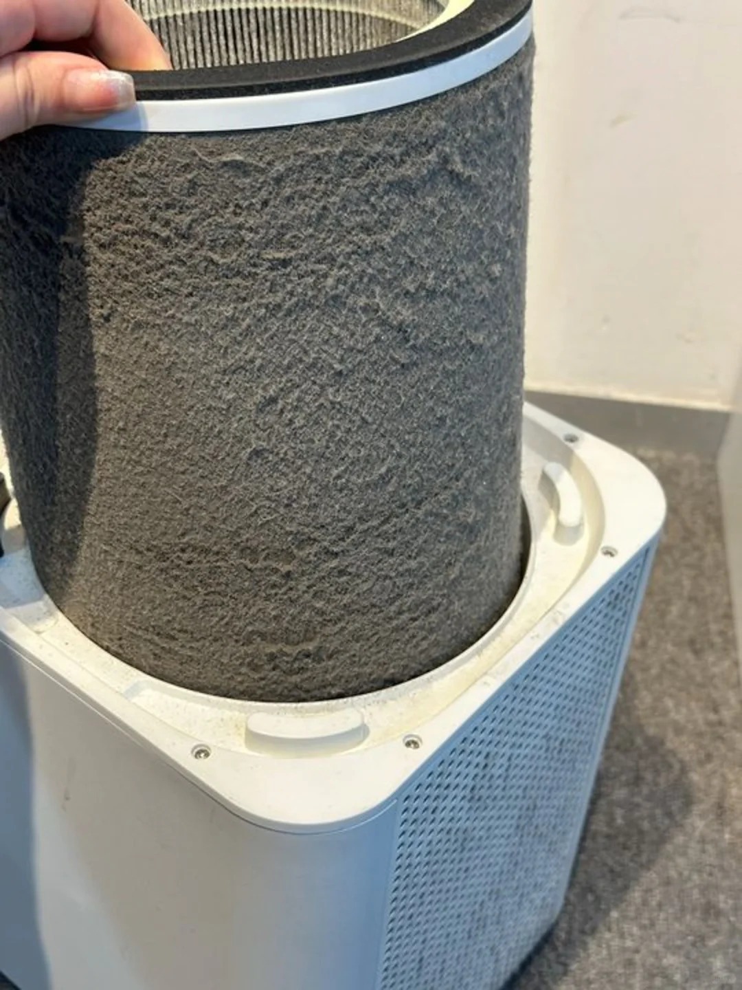 濾網型空氣清淨機