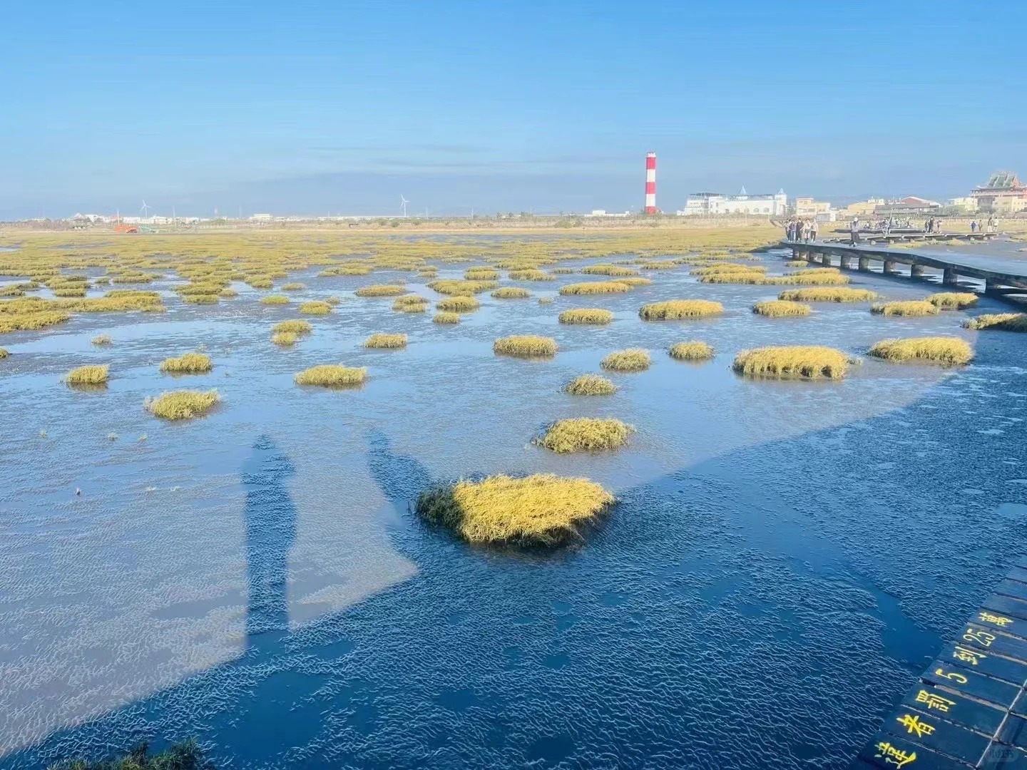 高美濕地x台中海生館