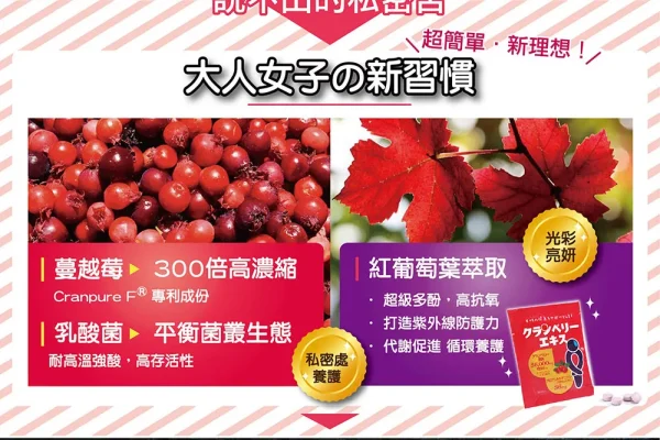 IKOR醫珂 私舒蔓 蔓越莓益生菌：圖片 4