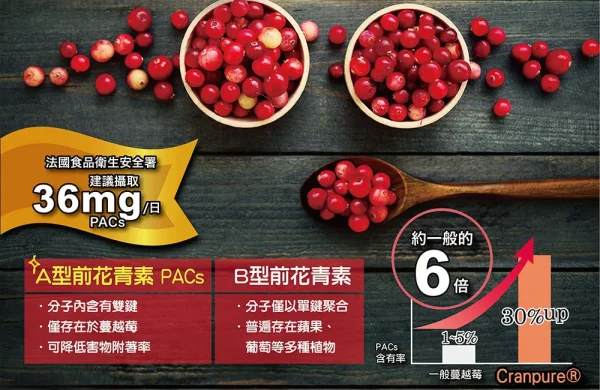 IKOR醫珂 私舒蔓 蔓越莓益生菌：圖片 5